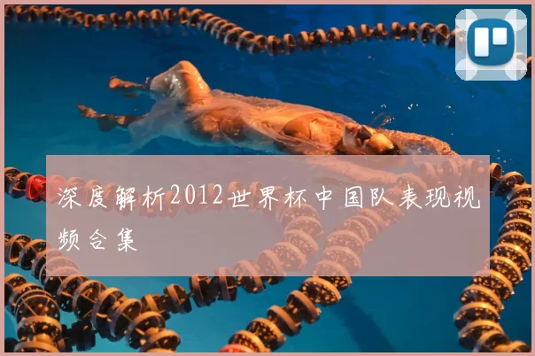 深度解析2012世界杯中国队表现视频合集