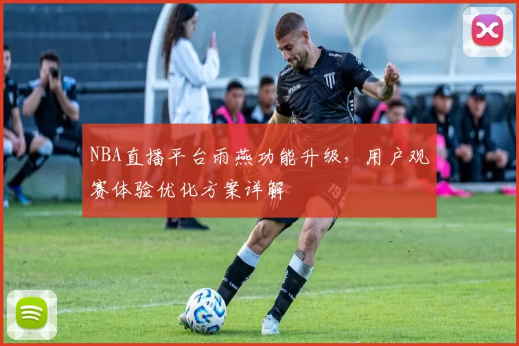 NBA直播平台雨燕功能升级,用户观赛体验优化方案详解