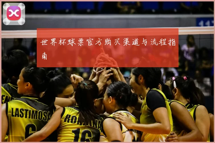世界杯球票官方购买渠道与流程指南