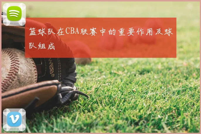 篮球队在CBA联赛中的重要作用及球队组成