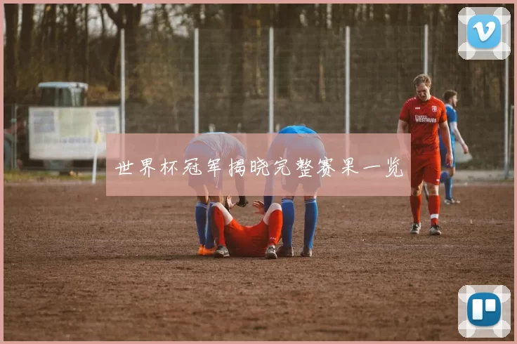 世界杯冠军揭晓完整赛果一览