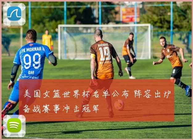 美国女篮世界杯名单公布 阵容出炉备战赛事冲击冠军