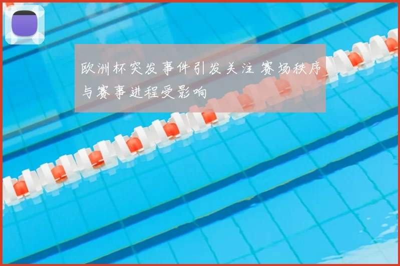 欧洲杯突发事件引发关注 赛场秩序与赛事进程受影响