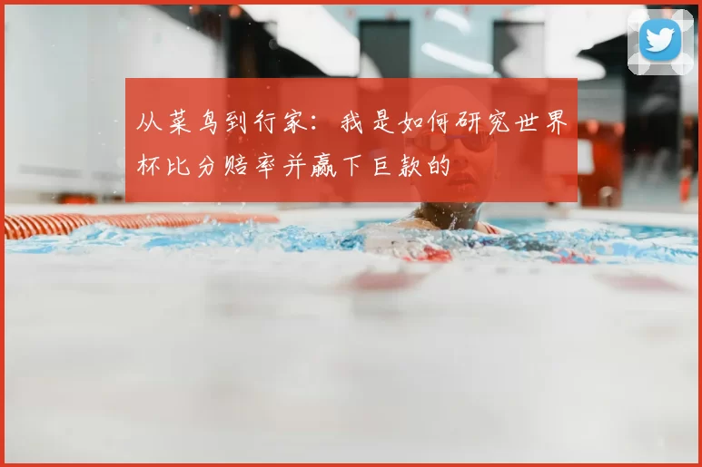 从菜鸟到行家：我是如何研究世界杯比分赔率并赢下巨款的