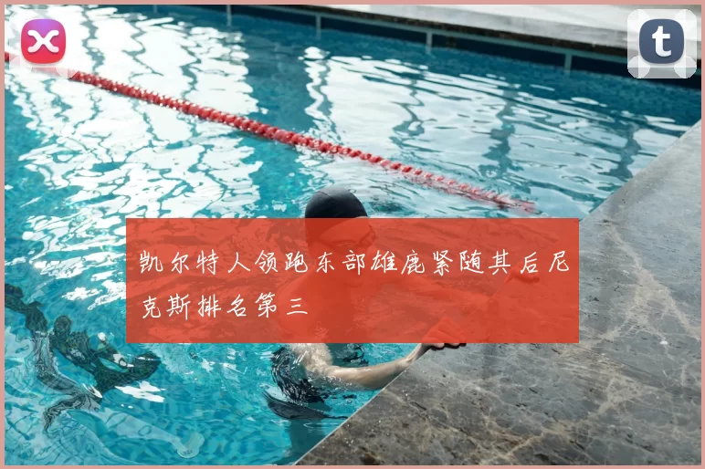 凯尔特人领跑东部雄鹿紧随其后尼克斯排名第三