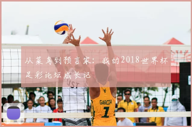 从菜鸟到预言家：我的2018世界杯足彩论坛成长记