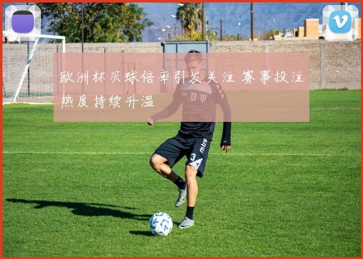 欧洲杯买球倍率引发关注 赛事投注热度持续升温