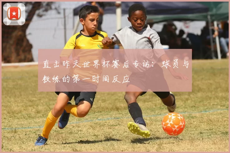 直击昨天世界杯赛后专访:球员与教练的第一时间反应