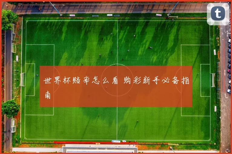 世界杯赔率怎么看 购彩新手必备指南