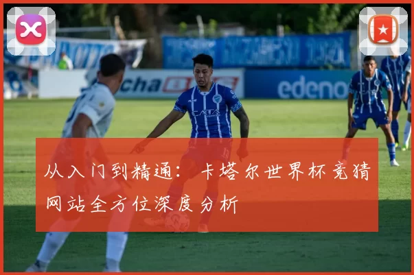 从入门到精通:卡塔尔世界杯竞猜网站全方位深度分析