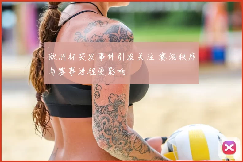 欧洲杯突发事件引发关注 赛场秩序与赛事进程受影响