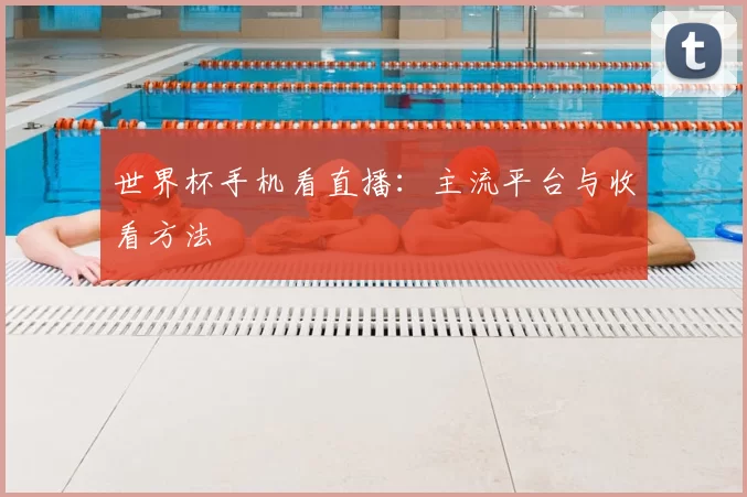 世界杯手机看直播:主流平台与收看方法
