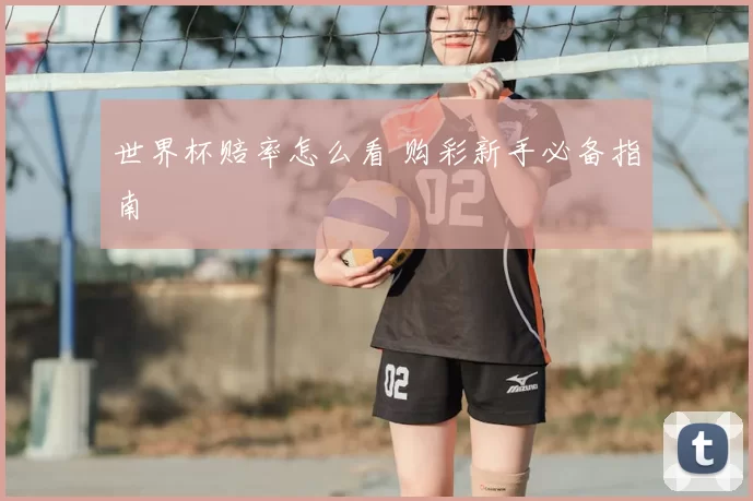 世界杯赔率怎么看 购彩新手必备指南