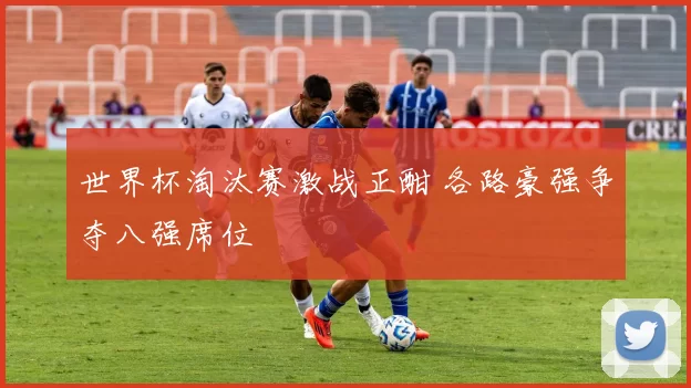 世界杯淘汰赛激战正酣 各路豪强争夺八强席位