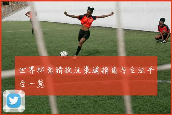 世界杯竞猜投注渠道指南与合法平台一览
