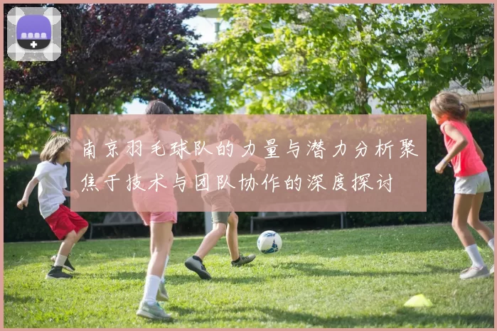 南京羽毛球队的力量与潜力分析聚焦于技术与团队协作的深度探讨