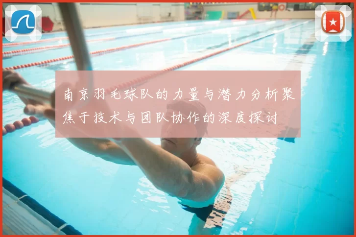 南京羽毛球队的力量与潜力分析聚焦于技术与团队协作的深度探讨