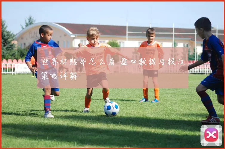 世界杯赔率怎么看 盘口数据与投注策略详解