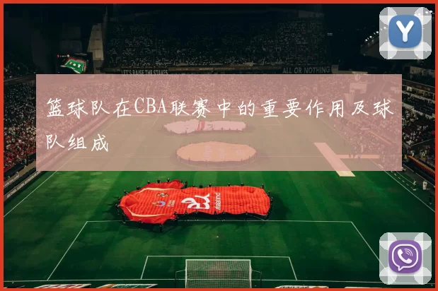 篮球队在CBA联赛中的重要作用及球队组成