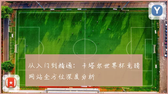 从入门到精通:卡塔尔世界杯竞猜网站全方位深度分析