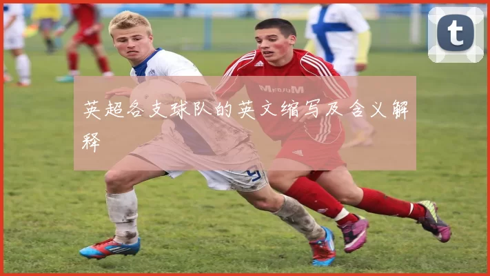 英超各支球队的英文缩写及含义解释