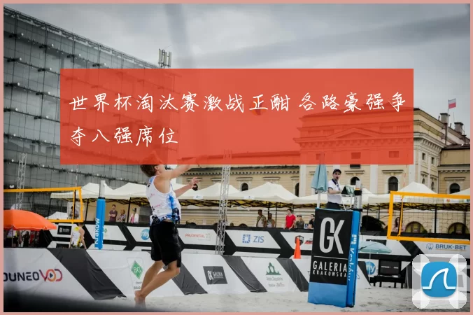世界杯淘汰赛激战正酣 各路豪强争夺八强席位
